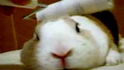 サムネイル エロ**動画　　地獄だぜ！