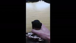 サムネイル い〇うとのヒョウ柄パンティに大量中出し