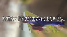 サムネイル 適正価格委員会