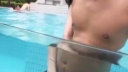 サムネイル 綠水鴛鴦